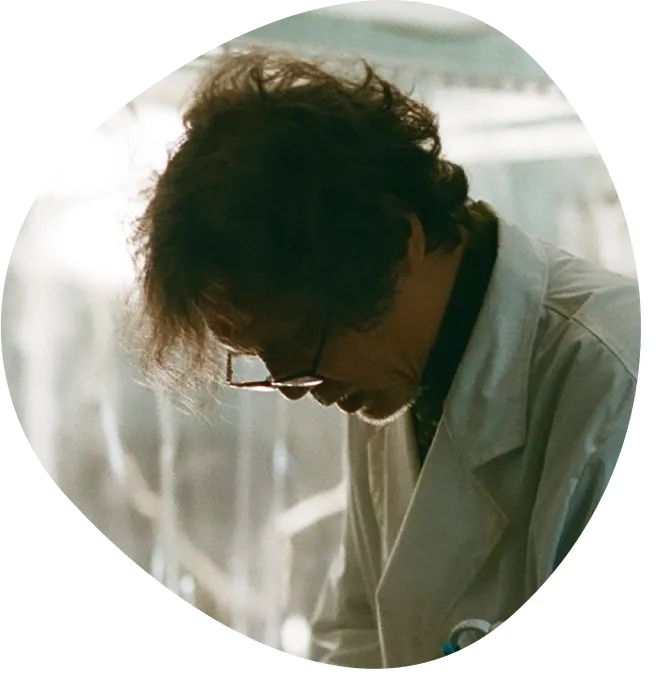 加藤雅也